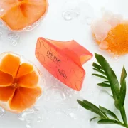 Odorizant wc bowl clip, parfum mango