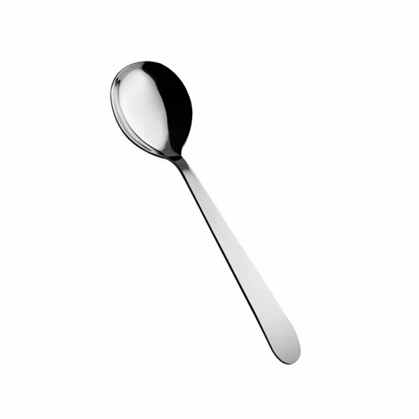 Lingura servire bufet, 29 x 7.5 cm, Salvinelli