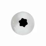Sprit stea, inox, diametrul 16mm