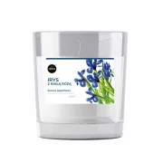 Lumanare parfumata, Iris si Trandafir alb, 115 g, Aroma
