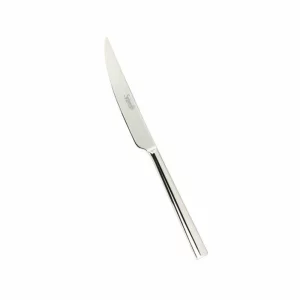 Cutit baza inox, finisaj oglinda, 5 mm, colectia 250, Salvinelli