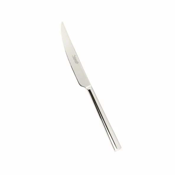 Cutit baza inox, finisaj oglinda, 5 mm, colectia 250, Salvinelli