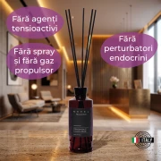 Odorizant de camera cu betisoare Nefel, Fructul Dragonului &amp; Boabe de Tonka, 480ml