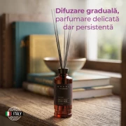 Odorizant de camera cu betisoare Nefel, Fructul Dragonului &amp; Boabe de Tonka, 480ml