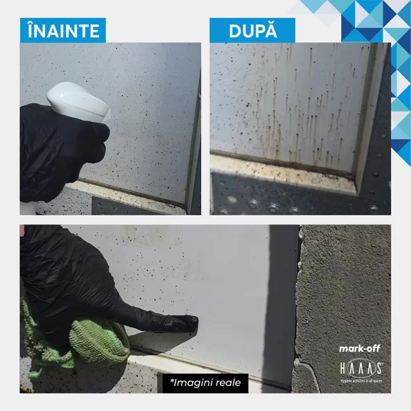 Solutie curatare marker, cerneala, lipici si adeziv, HAAAS Mark-Off, 5 Kg