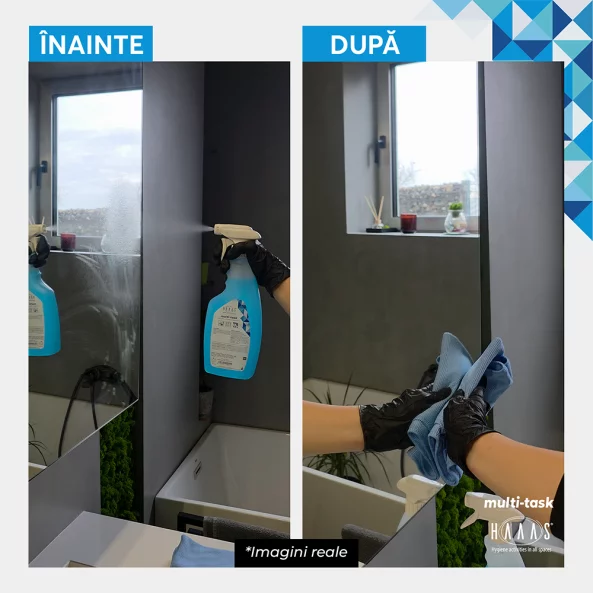 Solutie curatat mobila, sticla, plastic si suprafete lavabile, antistatica, igienizanta, HAAAS Multi-Task, 750 ml