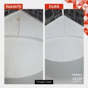 Solutie anticalcar baie, super-concentrata, non-acida, igienizanta, HAAAS Sanitap-S, 1 L