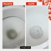 Solutie anticalcar si antirugina pentru vas WC si pisoar, parfum migdale, HAAAS Rustgel, 1 L