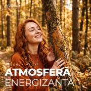 Odorizant camera Amber Wood, parfum oriental lemnos, eSSenza Vera Nebulization Premium, 100ml