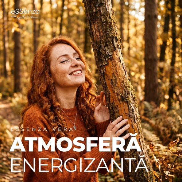 Odorizant camera Amber Wood, parfum oriental lemnos, eSSenza Vera Nebulization Premium, 100ml