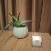Lumanare parfumata Basil&Verbena, 155 g, Woody Series, Aroma Home