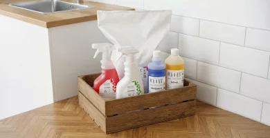 Importanța produselor profesionale de curățenie în HoReCa